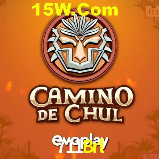 Security Systems 711Brl